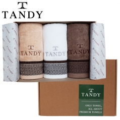 탠디 T - 21프리미엄 더도어 세면 타올 3매 세트