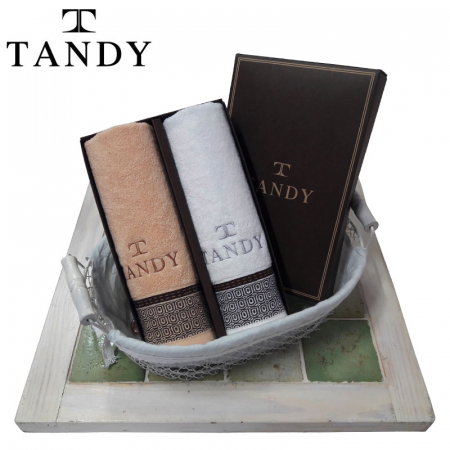 탠디 T - 21 더도어 매직 세면 타올 2매 세트 #2