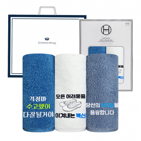 [송월타올] 호텔 향균 타올 170G 2P 세트, 2매 창박스, 쇼핑백 // 백신 응원 자수 #2