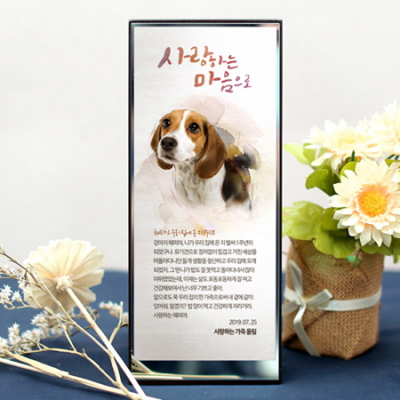 동물 기념패 상패 위패 감사패 동물 반려견기념품 #2
