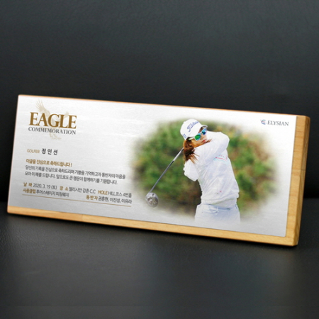 포토 골프패 홀인원 싱글이글 감사패 기념패 상패 #2
