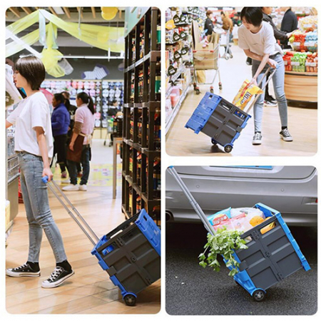 접이식 핸드 카트, 쇼핑 카트, 장바구니 카트 #5