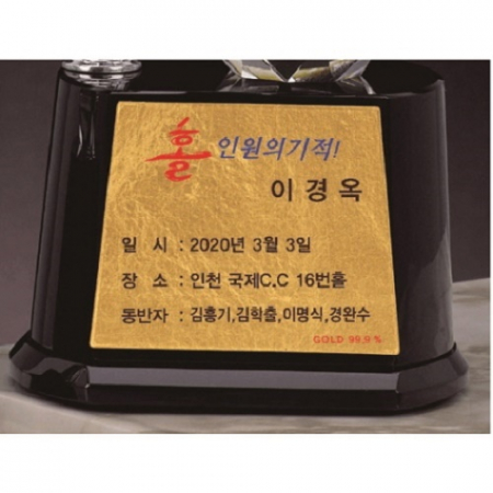 조각가 작품 콜렉션 15 - 금속크리스탈 골프트로피 #6