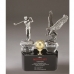 작은이미지: 주석 크리스탈 골프트로피 8 #2