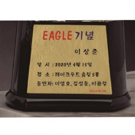 금속 크리스탈 독수리 골프트로피 2 #5