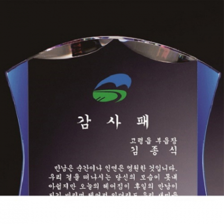 화이트 블루 투톤 통 크리스탈 상패 #4