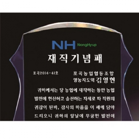 화이트 블루 투톤 크리스탈 상패 #3