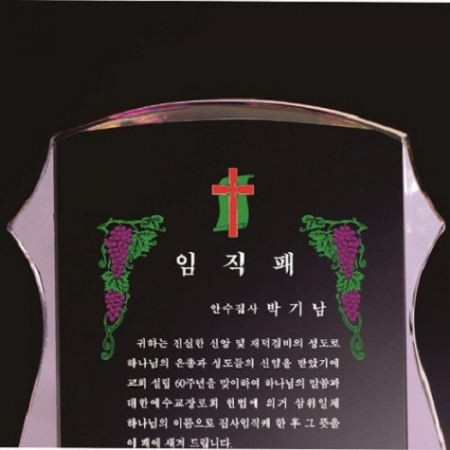 화이트 핑크 투톤 통 크리스탈 상패 #3