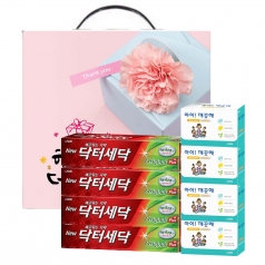 라이온 비누 치약 선물세트
