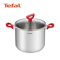 테팔 에디션 레드 인덕션 곰솥 냄비 22cm