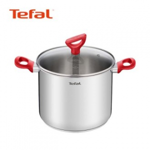 테팔 에디션 레드 인덕션 곰솥 냄비 22cm