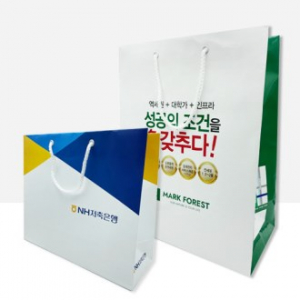 종이 쇼핑백 B02 260X100X350