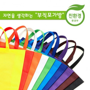 친환경 부직포 가방 [대 (L) : 42x38x12 (cm)]