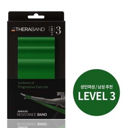 세라밴드 LEVEL 3 (그린) 근력운동 #2