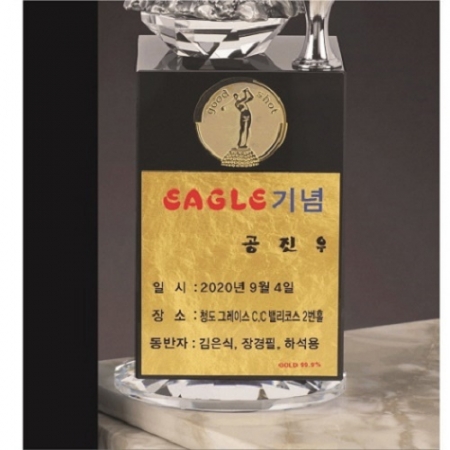 주석 크리스탈 독수리 골프트로피 10 #5