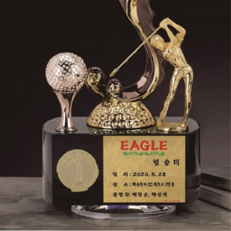 금속 크리스탈 독수리 골프트로피 3 #6