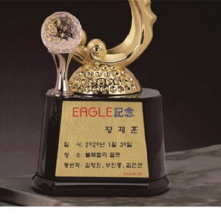 금속 크리스탈 독수리 골프트로피 4 #6