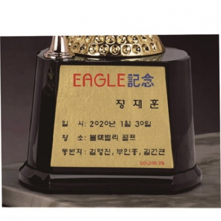 금속 크리스탈 독수리 골프트로피 4 #7