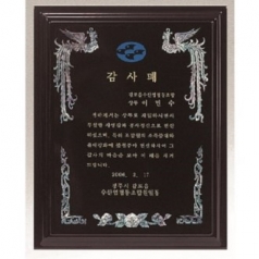 천연 진주 자개패 16
