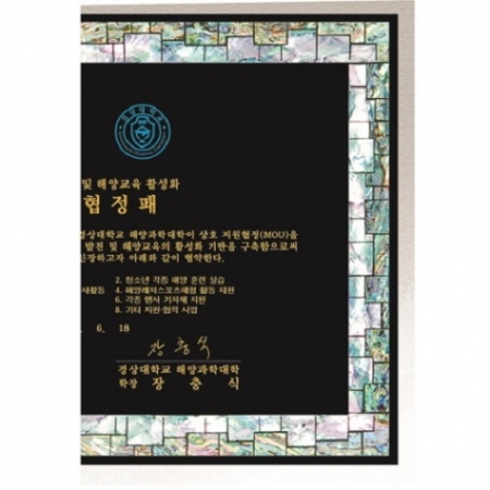 천연 진주 자개패 17 #6