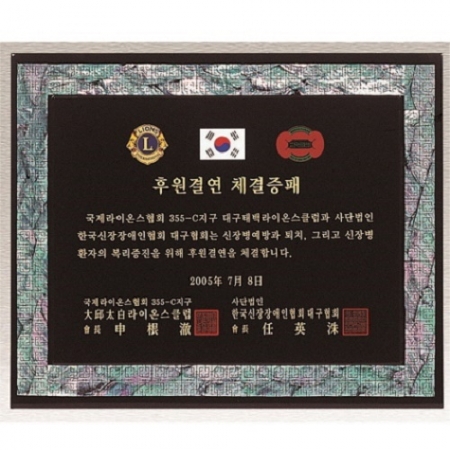 천연 진주 자개패 18 #7