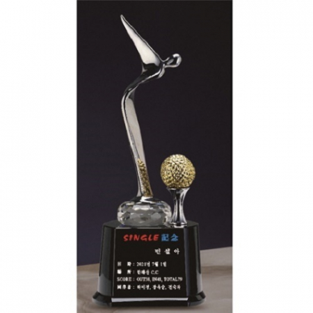 은색 금속 골프모션 크리스탈 트로피 #2