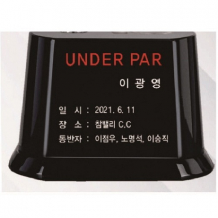 3D 피규어 골프트로피 12 #5