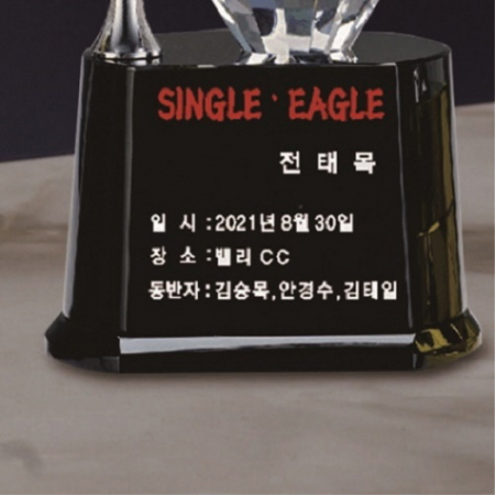 금속 크리스탈 골프트로피 52 #5