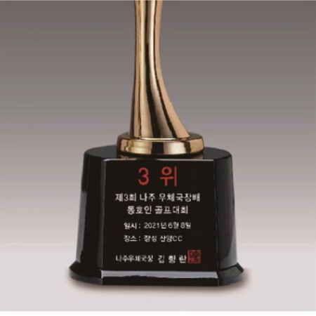 금속크리스탈 브론즈 휴먼 트로피 62 #4