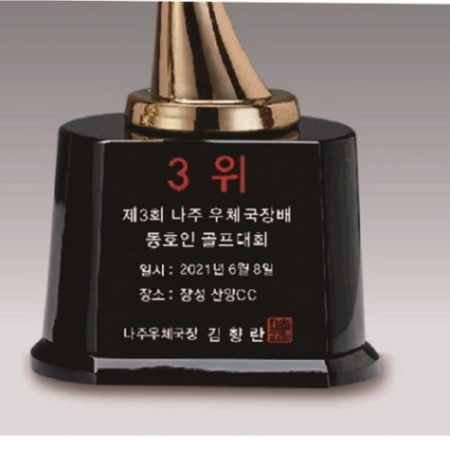 금속크리스탈 브론즈 휴먼 트로피 62 #5