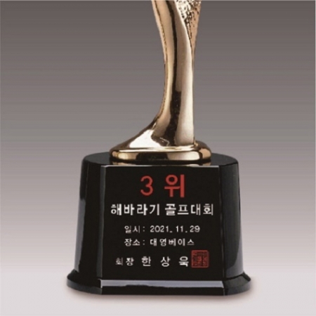 금속크리스탈 브론즈 휴먼 트로피 65 #4