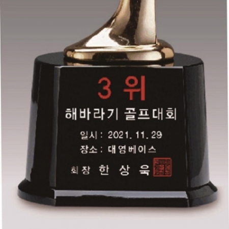 금속크리스탈 브론즈 휴먼 트로피 65 #5