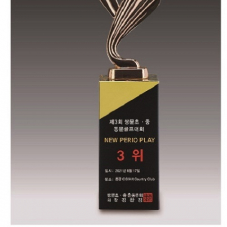 금속크리스탈 브론즈 세계지도 골프트로피 68 #4