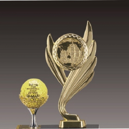 금속크리스탈 골드 세계지도 골프트로피 69 #3