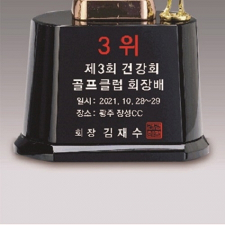 금속크리스탈 브론즈 세계지도 골프트로피 71 #5