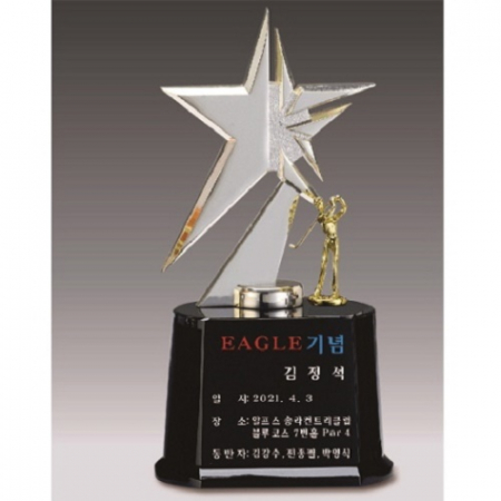 금속크리스탈 실버 별 골프 트로피 77 #2