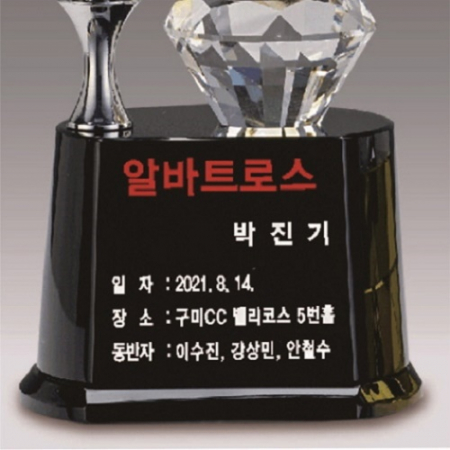 은색 골프모션 크리스탈 트로피 #5