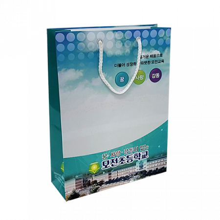 종이 가방 쇼핑백 230x80x310 2절 #2