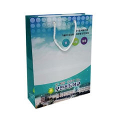 종이 가방 쇼핑백 230x80x310 2절