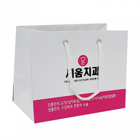 종이 가방 쇼핑백 190x110x150 3절 #2