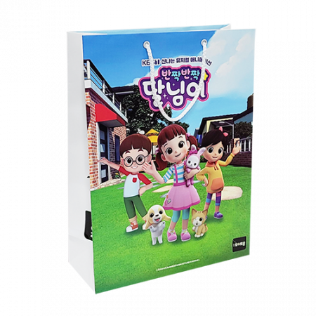 종이 가방 쇼핑백 300x120x400 국전지 #2