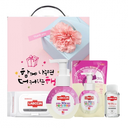 애경 랩신 핸드워시 손소독티슈 위생 실속 선물세트 #2