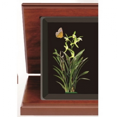 블랙 크리스탈 가리비 상패 7 #3