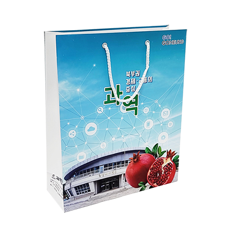 종이가방 쇼핑백 280x100x345 2절 #2