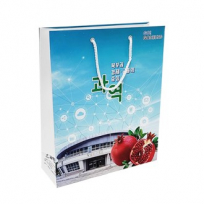 종이가방 쇼핑백 280x100x345 2절