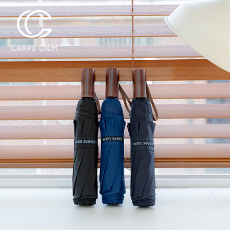 카르페디엠 3HHC008 3단 수동 양우산 #2