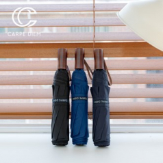 카르페디엠 3HHC008 3단 수동 양우산