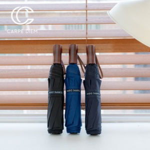 카르페디엠 3HHC008 3단 수동 양우산