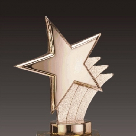 금속크리스탈 브론즈 별 트로피 133 #3