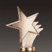 작은이미지: 금속크리스탈 브론즈 별 트로피 133 #3